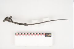 Foto von Bimetallantennendolch (NHMW-PRAE-025977)